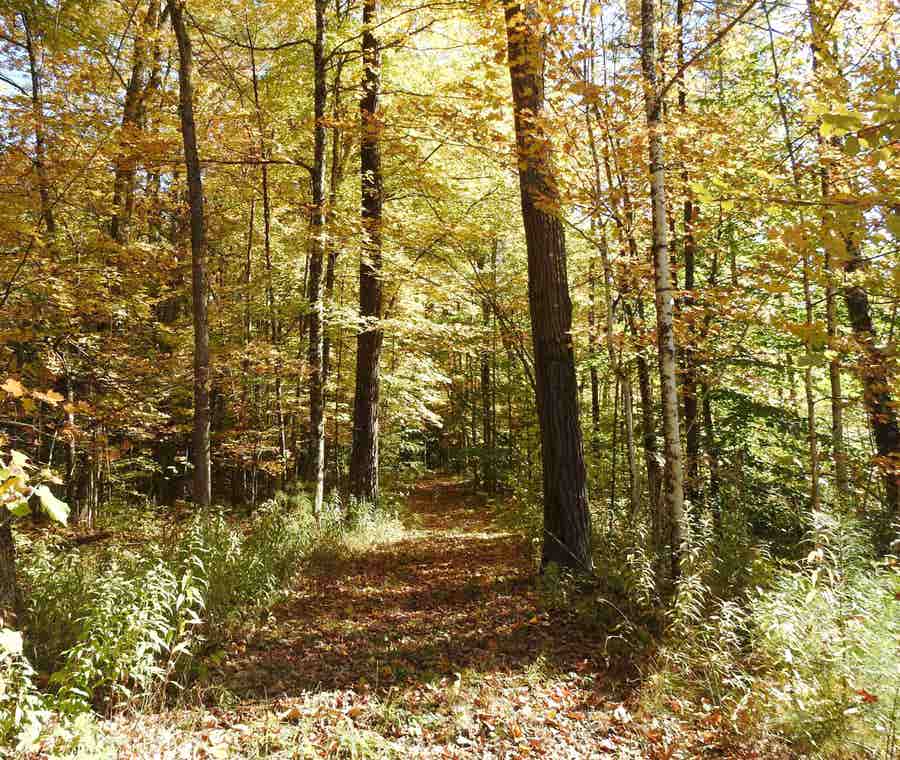 Vermont Waterfront Homes for Sale