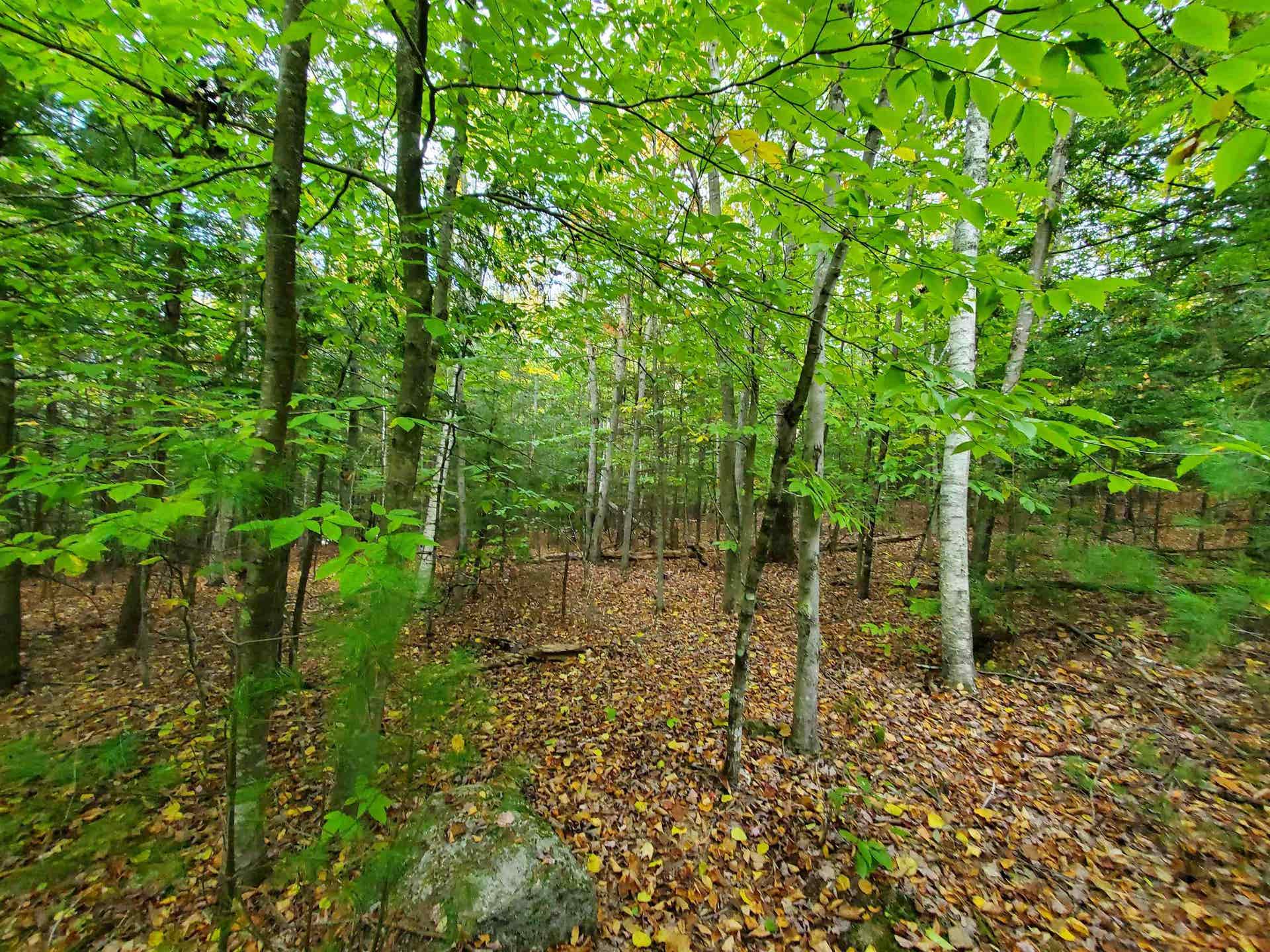 For Sale Chestnut Pond Road, Epsom, NH 03234 10.27 Acres 179,000