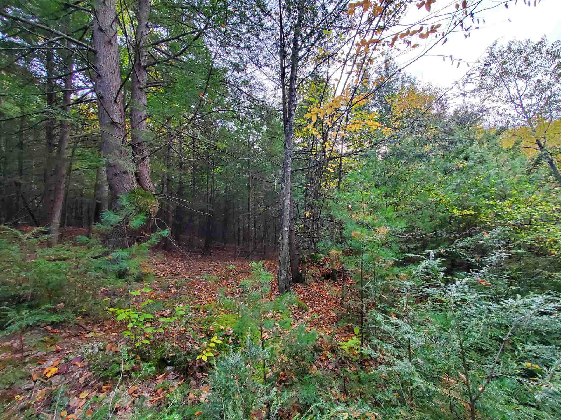 For Sale Chestnut Pond Road, Epsom, NH 03234 10.27 Acres 179,000